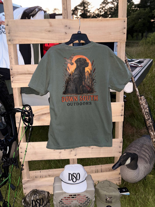 DSO-Bird dog